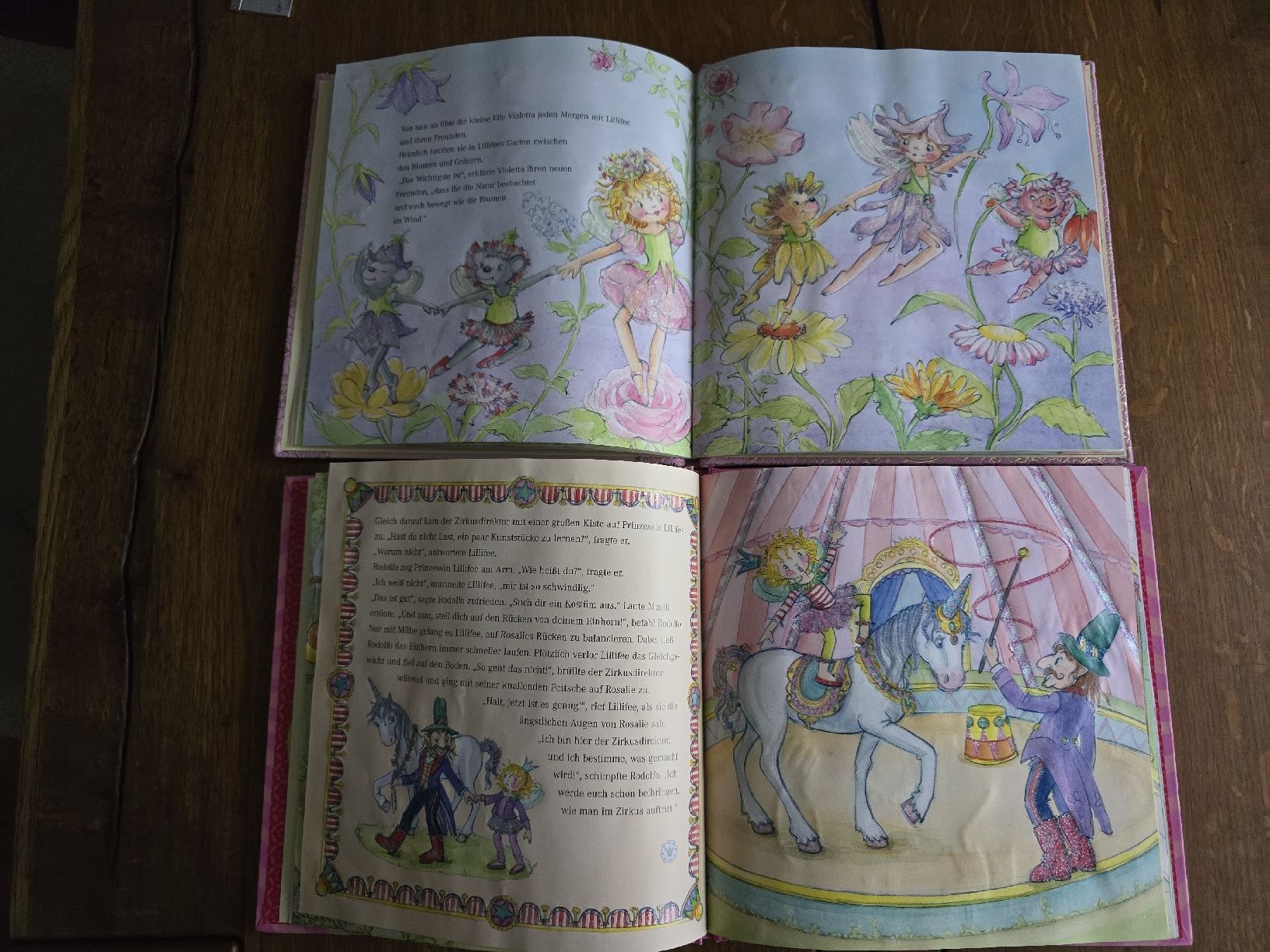 Libri: prinzessin lillifee bücher set – Usato da Wittenbach venduto da Tigerlili 4