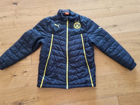 Original Puma Winterjacke BVB Borussia Dortmund Gr 164