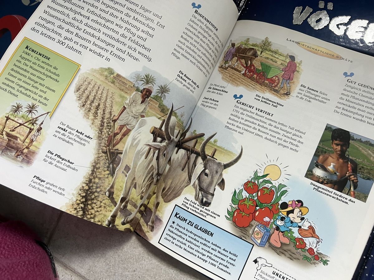 Libri: Disney Micky Maus Wissen Sammlung Bücher – Nuovo (secondo la descrizione) da Niederglatt ZH venduto da AnFleischmann 4