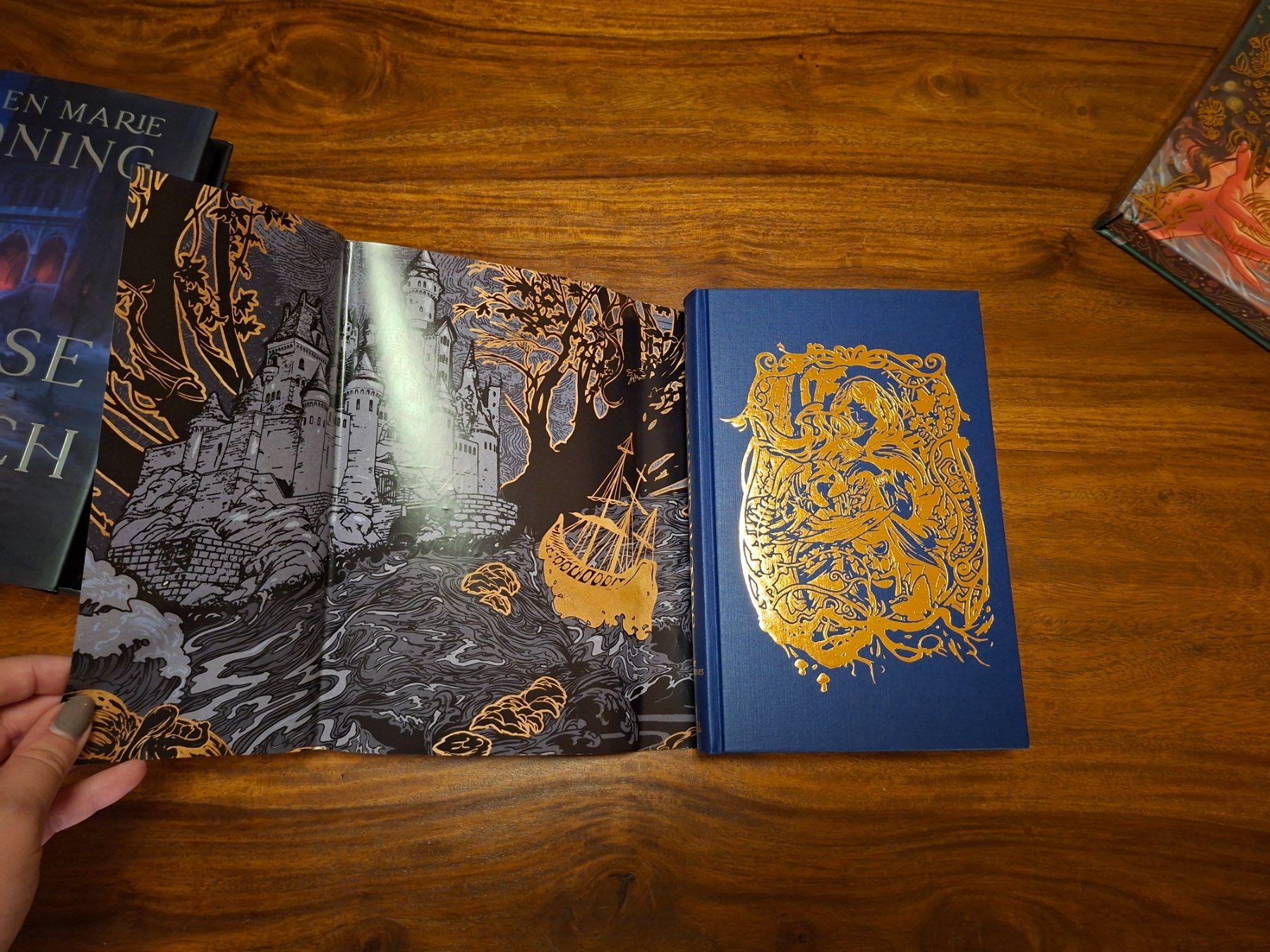 Libri: FAIRYLOOT packet, signierte Bücher – Nuovo (secondo la descrizione) da Regensdorf venduto da amb_n5n7 6