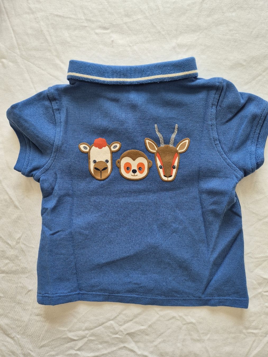 Okaidi Camicie, Top & T-shirt: Poloshirt Babykleider – Usato da Neuenhof venduto da Vany0607 1