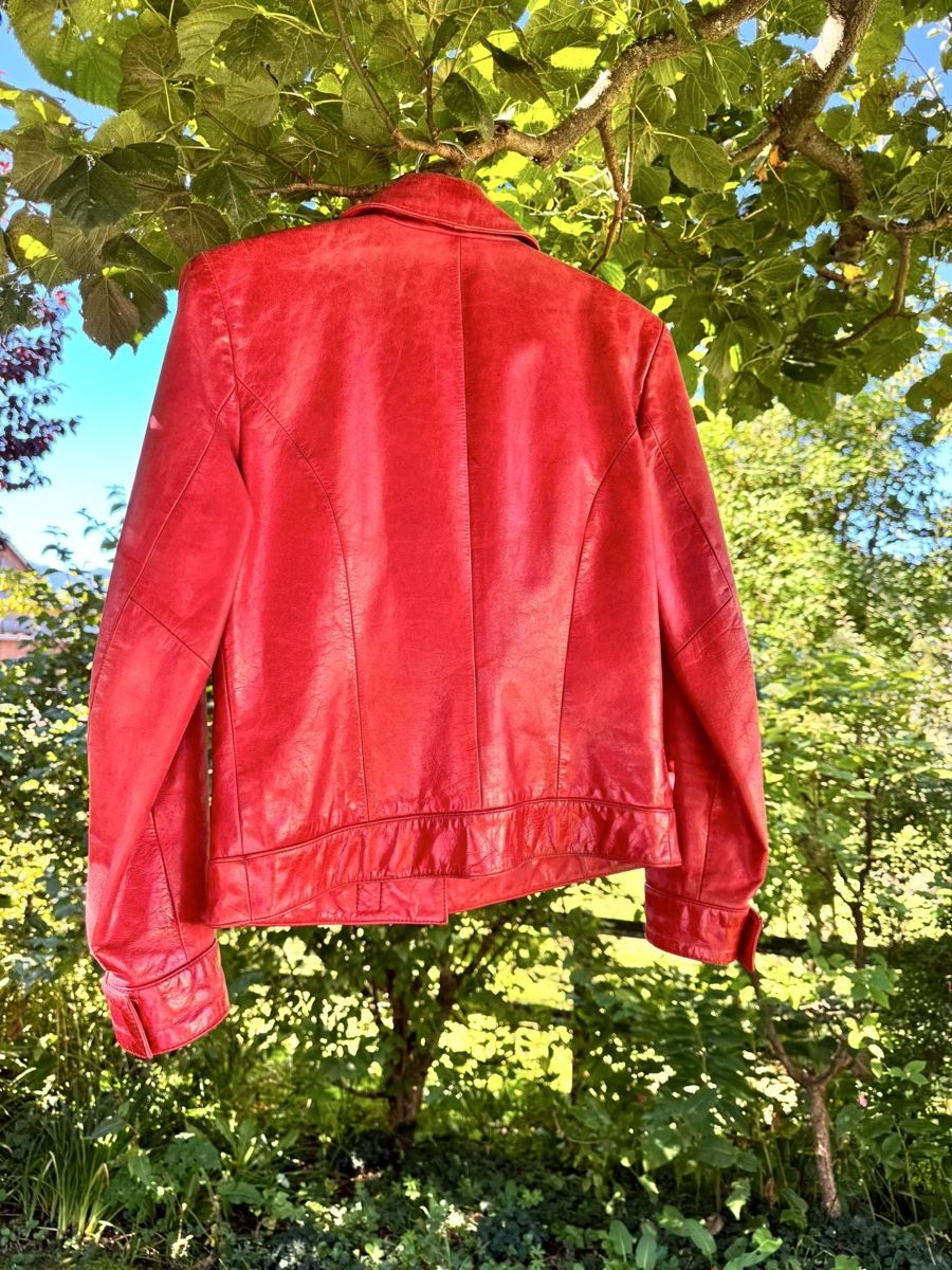 Vestes: Lederjacke von Leonardo – D'occasion à Gais par Taro27 1