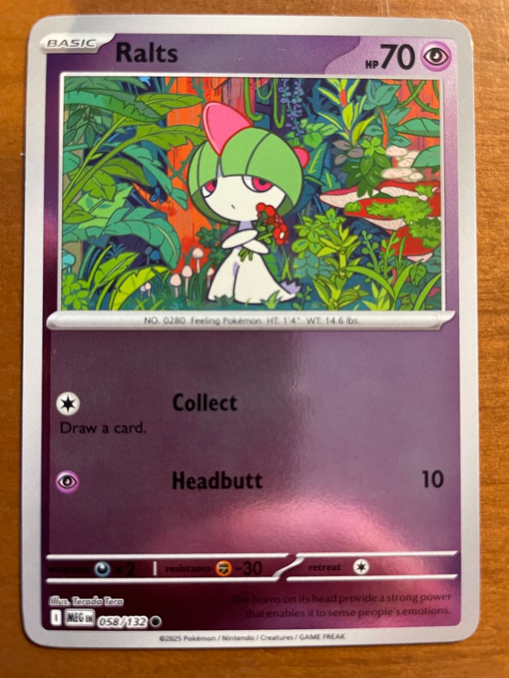 Pokémon Carte collezionabili: Pokemon Ralts Reverse (Versand gratis) – Nuovo (secondo la descrizione) da Chur venduto da Angerson