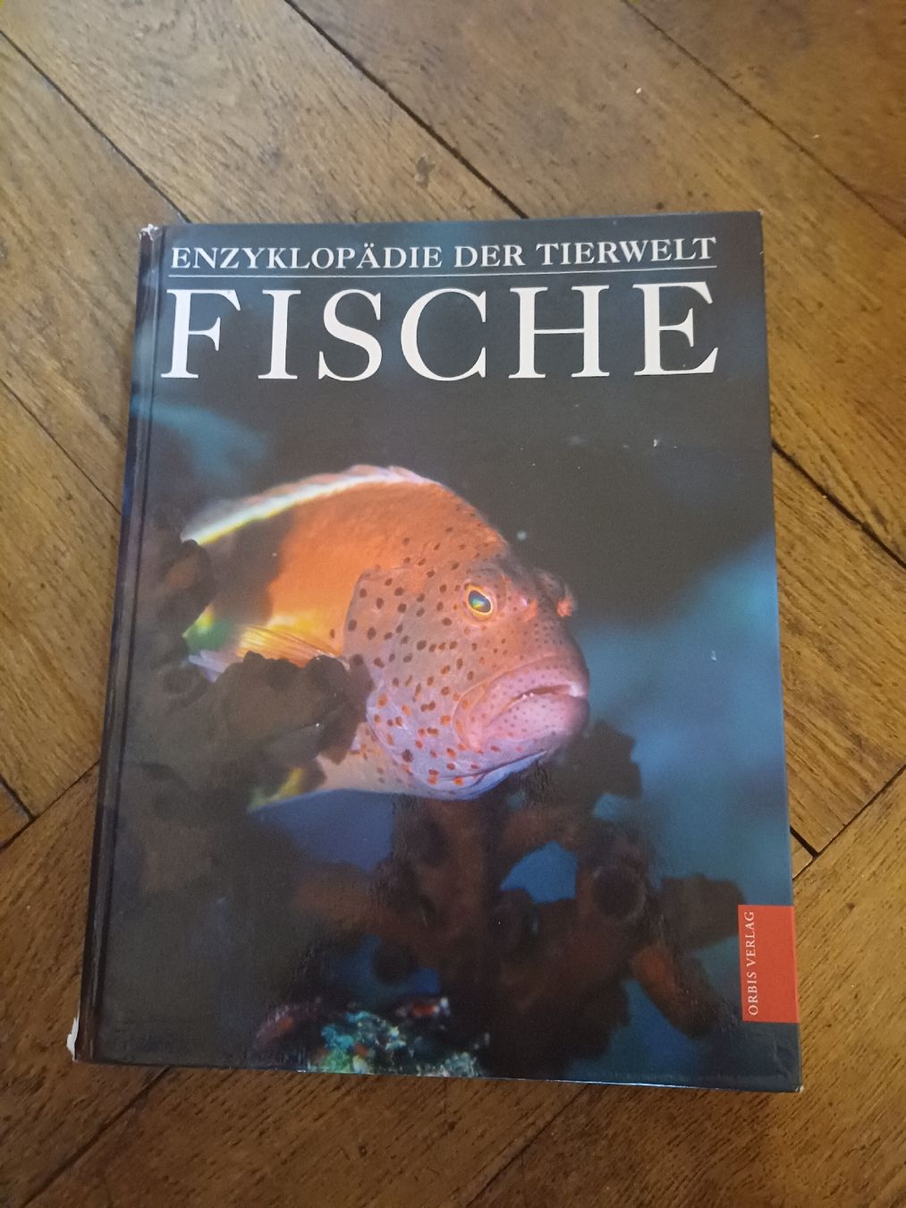 Libri: Fische Enzyklopädie – Usato da Schönenwerd venduto da pomodor