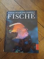 Fische Enzyklopädie