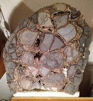 Mineralien / Kristalle, grosse, wunderschöne Septarie