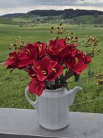 Rote Amaryllis Kunstblumen  Sommerdeko 🌸🌷