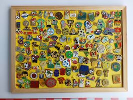 Pin Sammlung