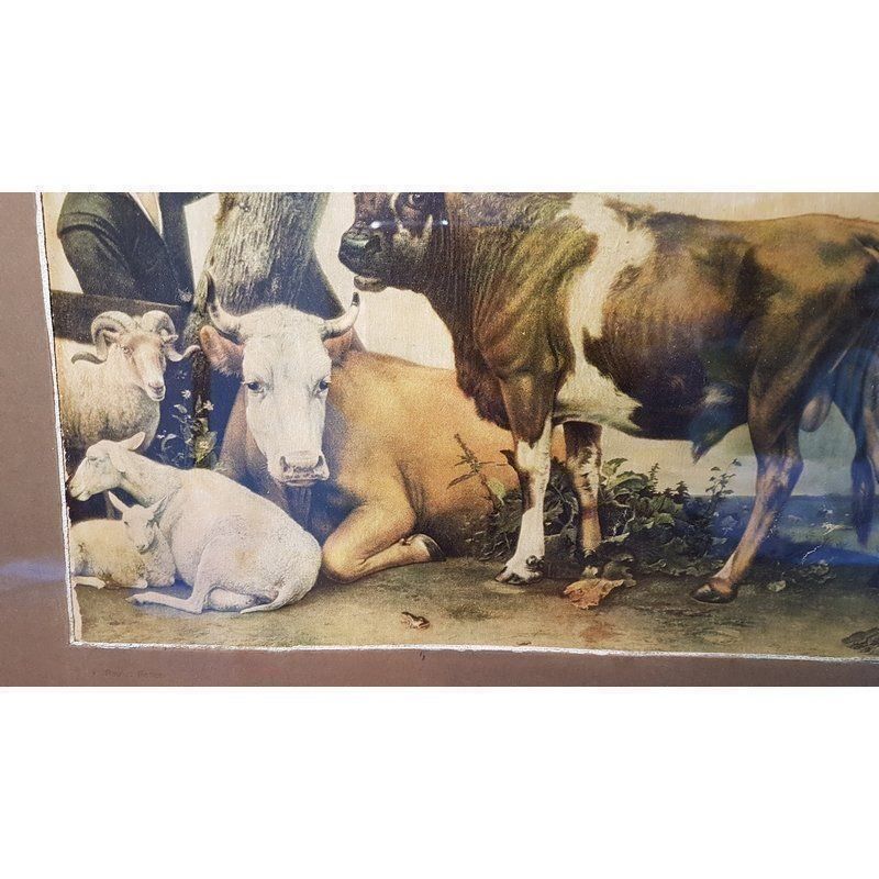 Foto & Immagini: Öldruck P. Potter Der junge Stier Antik – Usato da Kaltbrunn venduto da Condor2 9