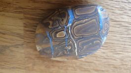 Grosser Boulder Opal