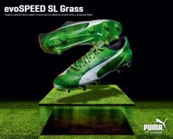 Puma evoSPEED SL Grass FG Grün/Weiss LIMITED EDITION