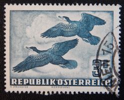 Österreich Kat. 985 gest. 1953 Kat. 100 Euro