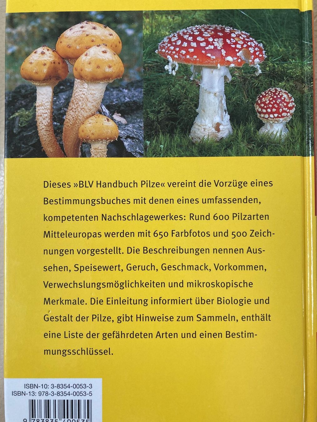 Bücher: BLV Handbuch Pilze,  638 Seiten – Gebraucht aus Baden von Yoyo1 3