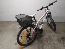 Velo GHOST weiss mit Korb sehr günstig abzugeben