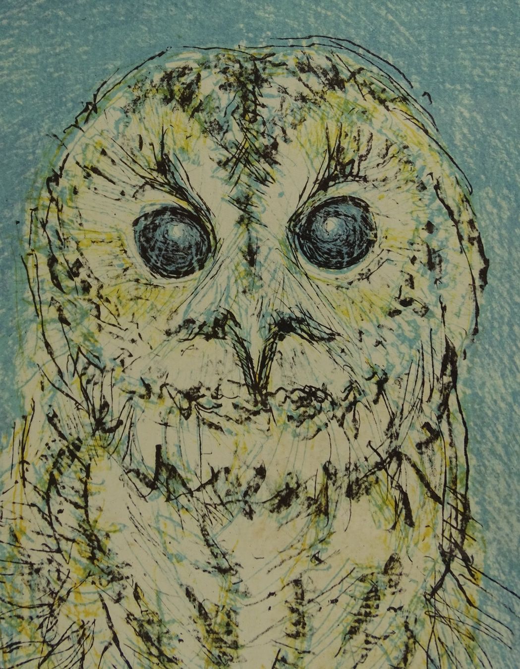 Grafiken & Lithographien: FRITZ HUG: JUNGER UHU, KAUZ, EULE, KÜKEN, FARBLITHOGRAPHIE – Gebraucht aus Grüningen von Kartensammler 5