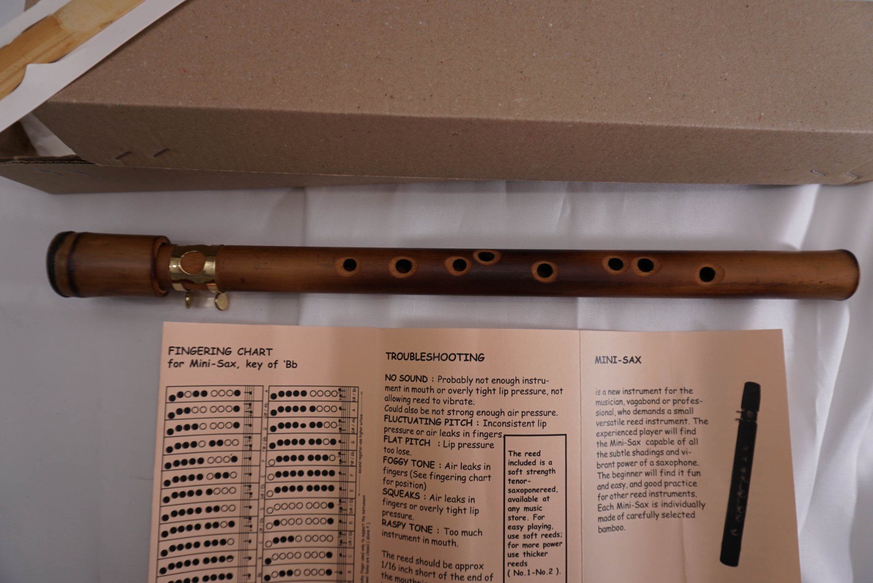Strumenti musicali: Mini Saxophon aus Bambus – Nuovo (secondo la descrizione) da St. Gallen venduto da Acer0110