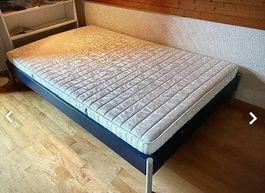 Bett Bicoflex