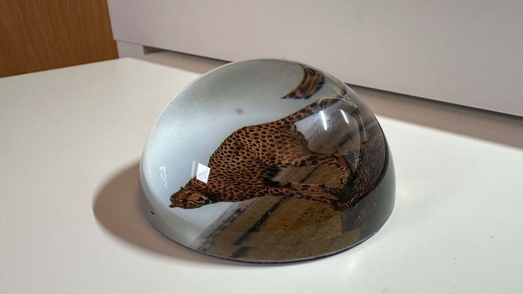 Bicchieri: Briefbeschwerer mit Gepard NEU OVP – Nuovo e nell'imballaggio originale da Arisdorf venduto da nde_q52j 2