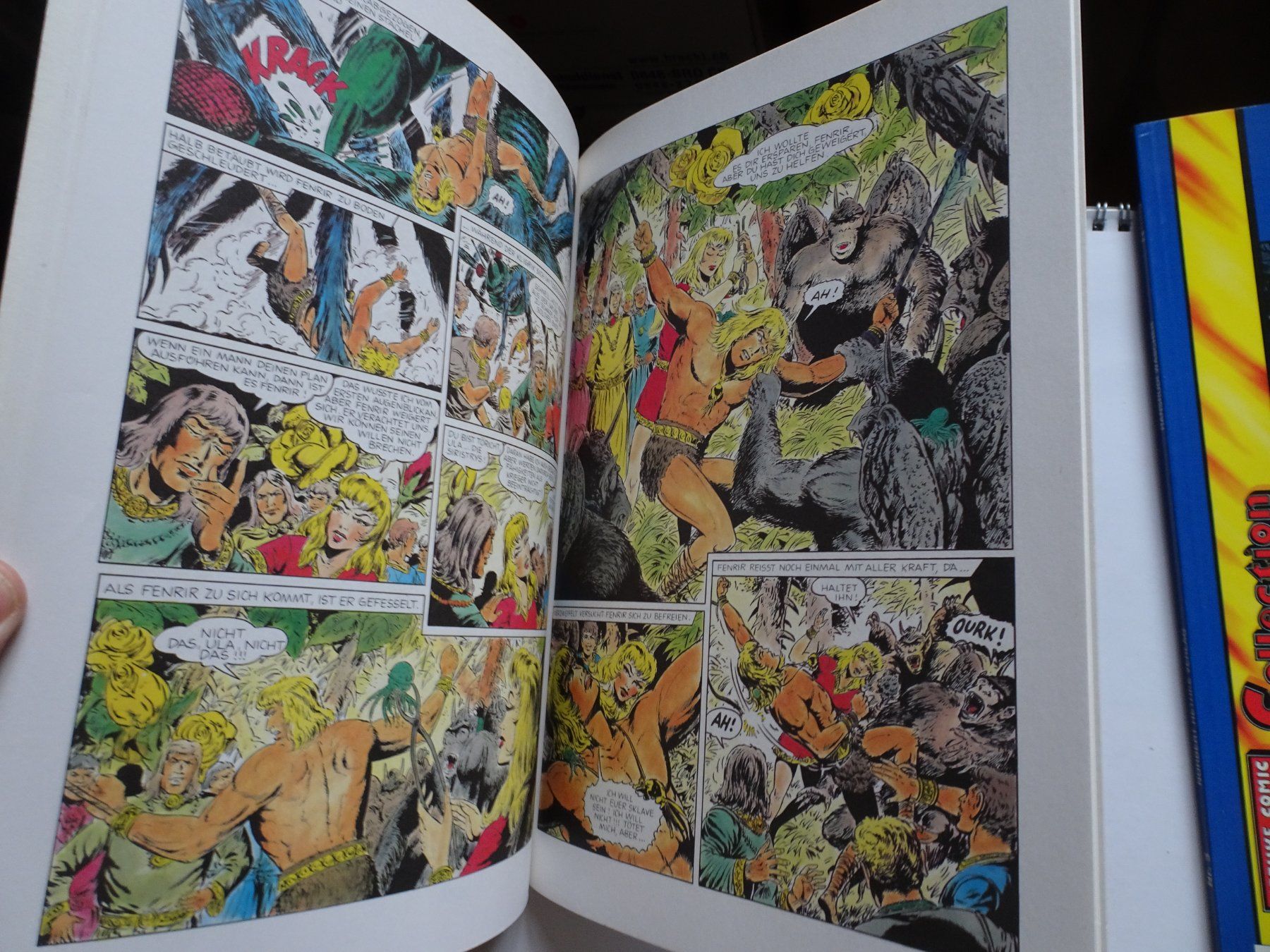 BD: Fenrir Comic Sammlung, Hefte 1-11, Top Zustand SC – D'occasion à Schönenwerd par schnitzunddrunter 4
