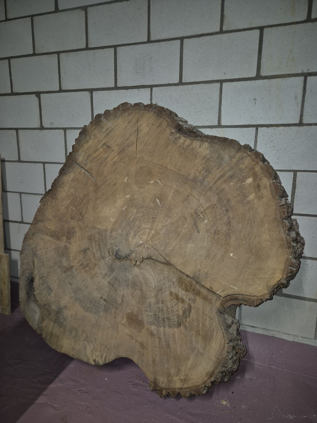 Articles en bois: Rustikaler Holzstamm 1m Durchmesser – D'occasion à Gross par Sventoenel 2