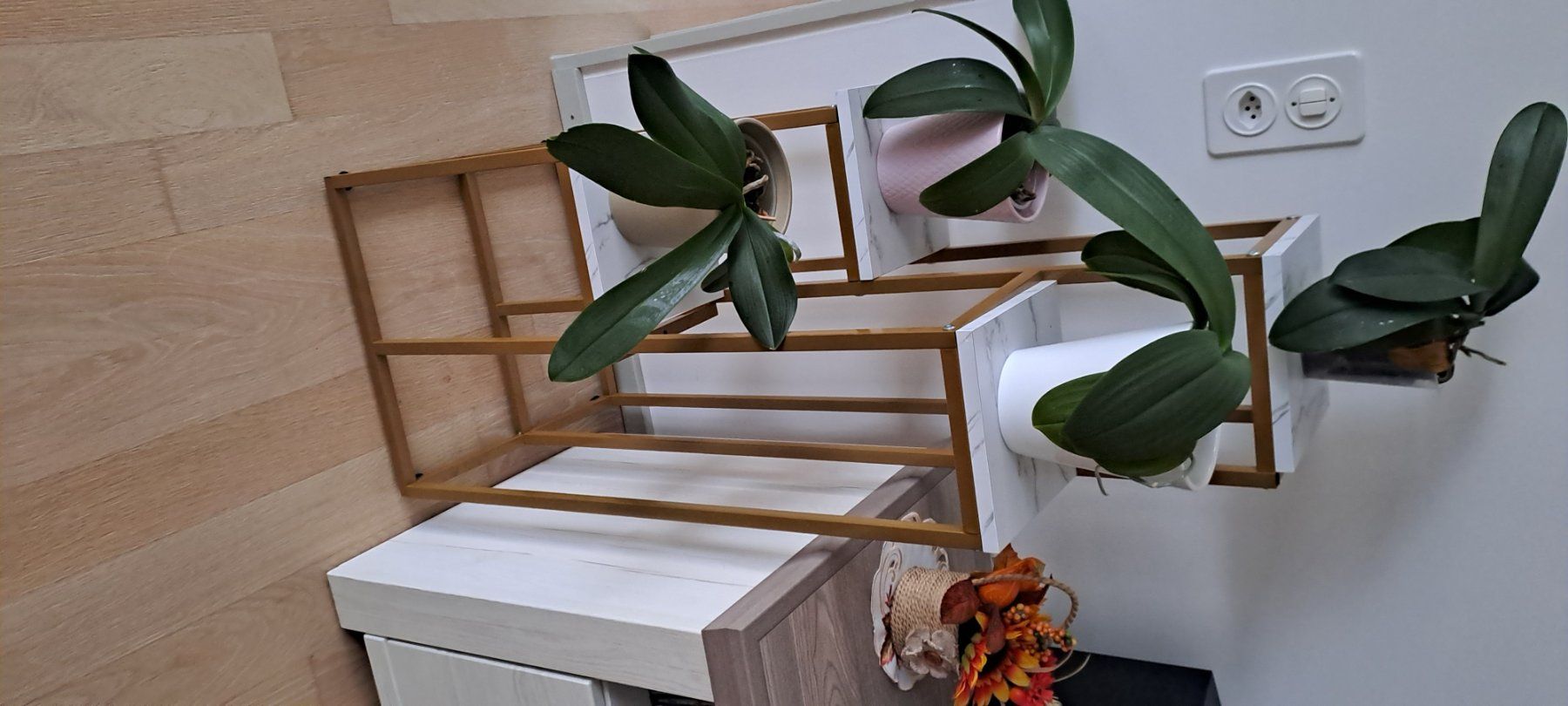 Altro per la casa: Blumengestell – Usato da Frauenfeld venduto da ros_pc9c 1