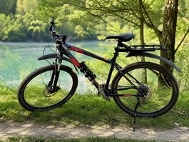 Mountainbike 29 Zoll in top Zustand