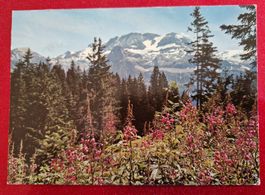 Lenk, Wildstrubel, Berner Oberland 1972