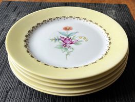 Rosenthal Germany 5 Dessertteller Dekor Blumen