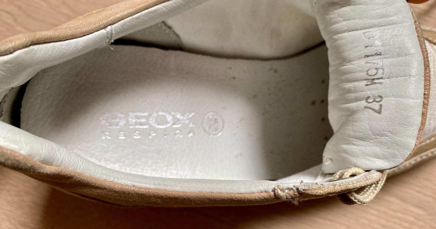 Geox Damenschuhe: Neuwertige Geox Schuhe mit Absatz Gr 37 – Gebraucht aus Winkel von Flyhy2020 4