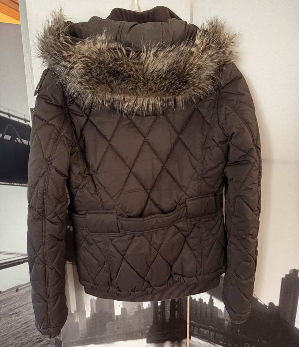Giacche: Giacca invernale da donna, EDC, taglia L – Usato da S. Pietro venduto da pap_nd2w 2