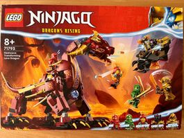 Lego Ninjago Dragons Rising 71793