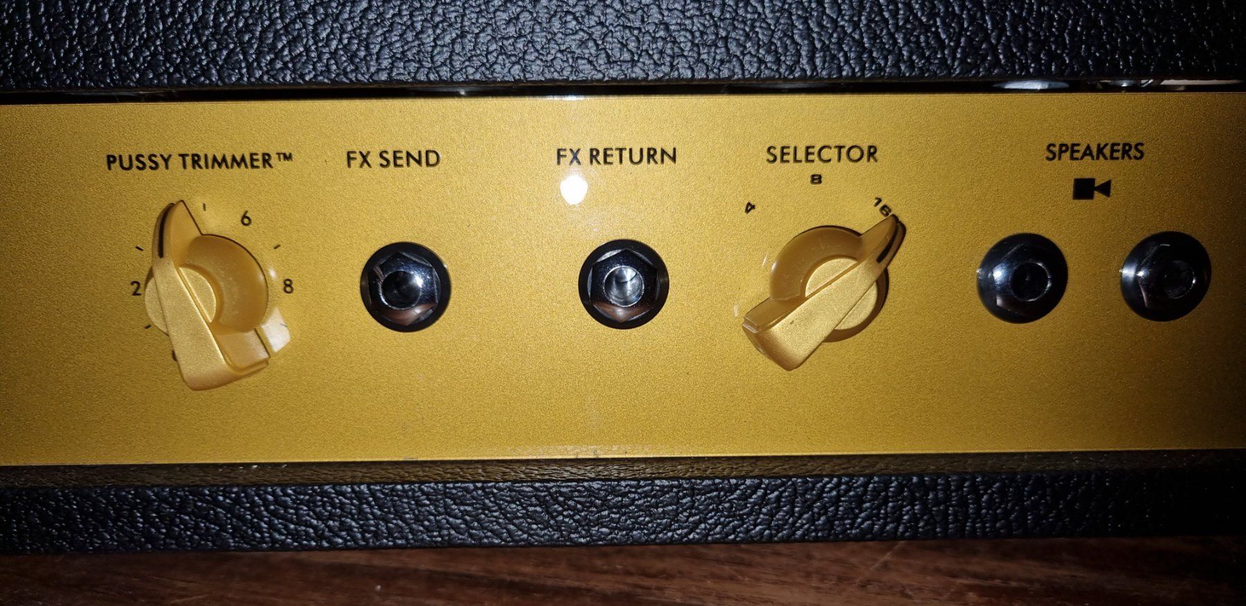 Amplificatori: Ceriatone Chupacabra 100 Watt Amp – Usato da Zürich venduto da Hug1971 2
