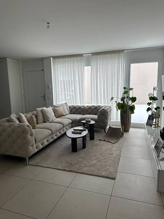Divani: Sofa - Samt Couch – Usato da Turgi venduto da Durak