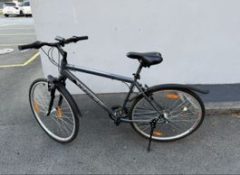Herren-CITYBIKE