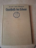 Triebstoffe des Lebens G. Benzmer Buch 1933 guter Zustand