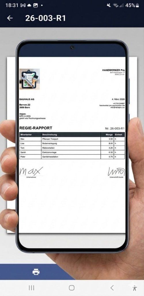 Software: Handwerker Pro – Usato da Ittigen venduto da halloamy 4