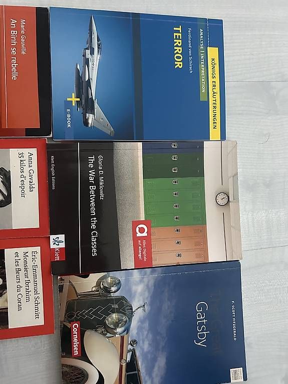 Libri: verschiedene Bücher, pro Buch 7.- – Usato da Chur venduto da zym_chk6 1