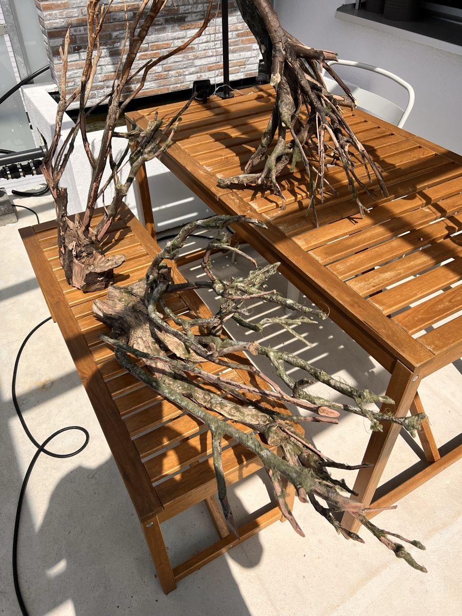 Acquari: Aquarium Holz  – Usato da Walkringen venduto da ise_v5dn