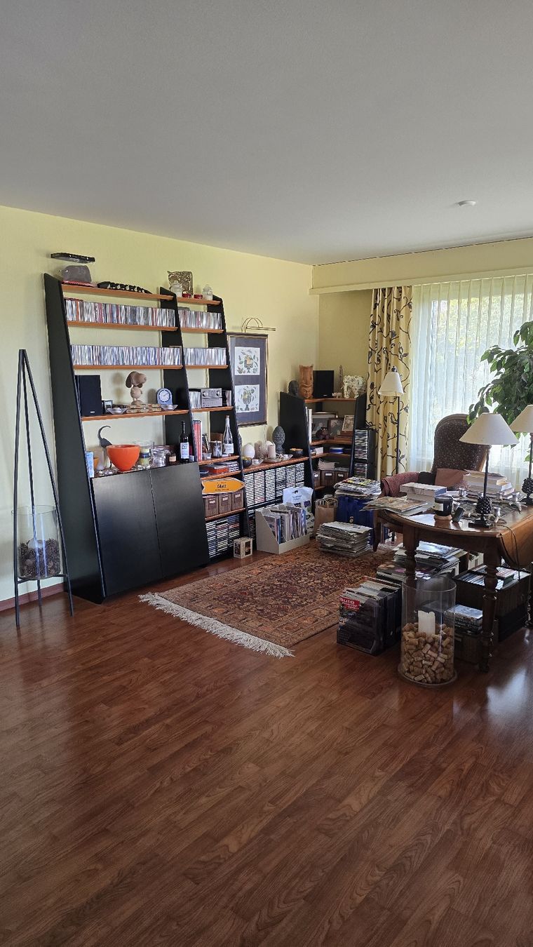 Interio Regale: Wohnwand – Gebraucht aus Lufingen von blueracer01 5