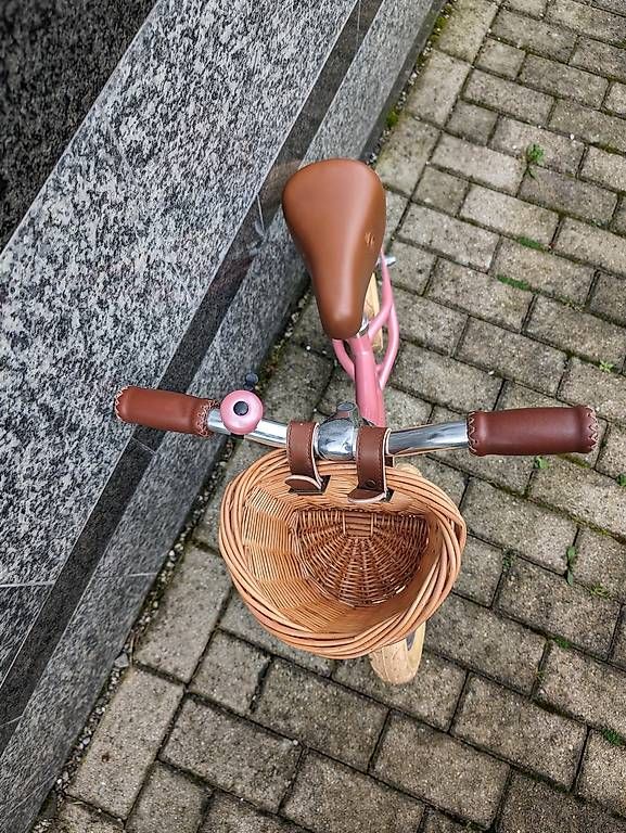 Siech Fahrzeuge für Kinder: Draisienne Siech Cycles 12" rose – Gebraucht aus Lausanne von Salafred 2