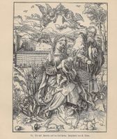 Antik Druck 1891 - Albrecht Dürer, Hl. Familie mit Hasen