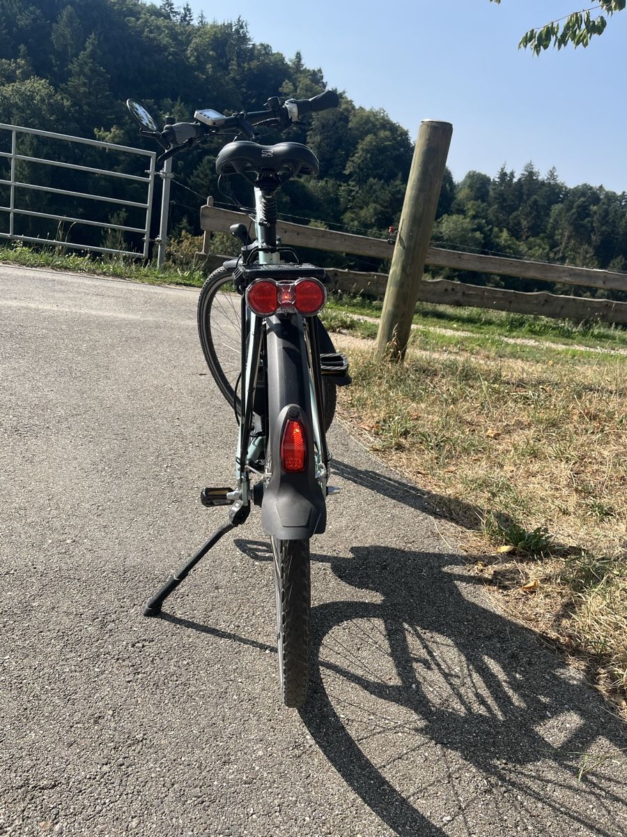 Flyer Biciclette: Flyer E-Bike T-Serie – Usato da Rüedisbach venduto da aeduu 1