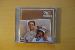 Common - One Day It'll All Make Sense