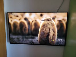Samsung UE43AU8070U inkl. schwenkbare Halterung, neuwertig