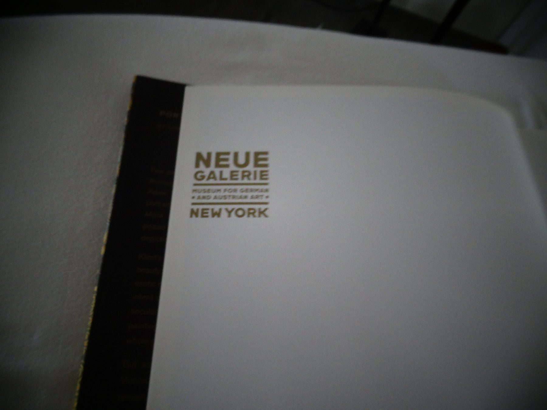 Bücher: Portrait of Adele Bloch-Bauer – Gebraucht aus Neerach von jenny062 4