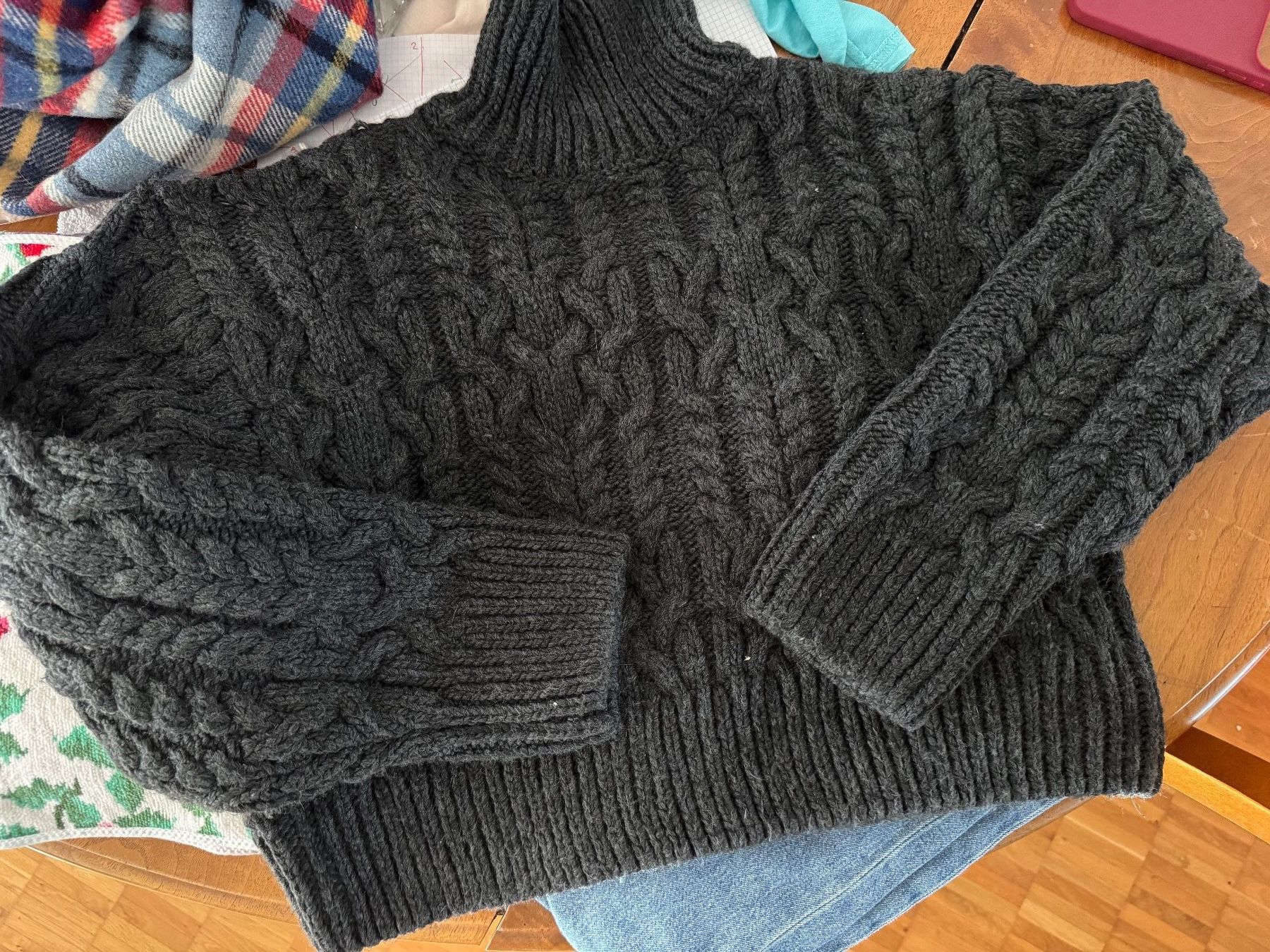 Zara Pullover & Sweatshirts: Zara Pullover – Neu (gemäss Beschreibung) aus Obfelden von cesarina10