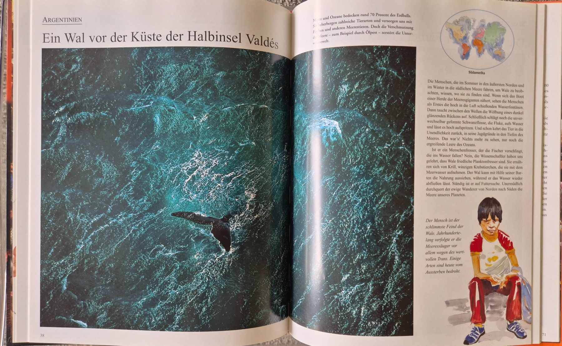 Libri: Die Erde von oben für Kinder – Usato da Illnau venduto da Bab58blau 2