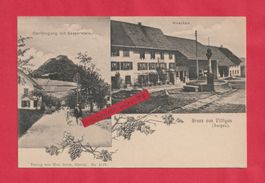 Gruss aus Villigen (AG) Bezirk Brugg 2-Bild Lichtdruck