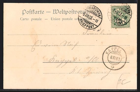 Cartoline postali: Romanshorn am Bodensee, Blick über die  – Usato da Berlin venduto da bartko-reher 1