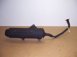 Auspuff für Honda NSS 125 Forza